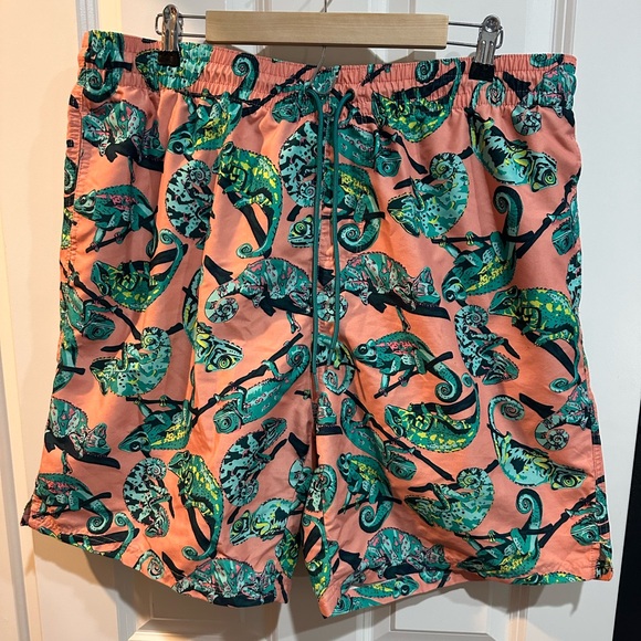 Chameleon swim shorts - Picture 1 of 7
